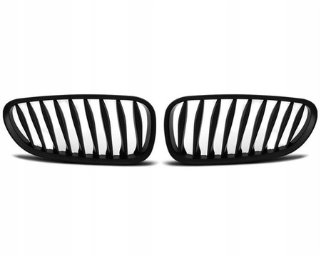 Njurgrill fram BMW Z4 E85 06-08 svart matt