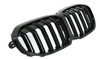 GRILL (NJURAR) BMW 1 F40 F41 19- DUBBEL GLANS SVART