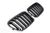 NJURGRILL BMW X1 E84 09-15 DUBBELBLANK SVART